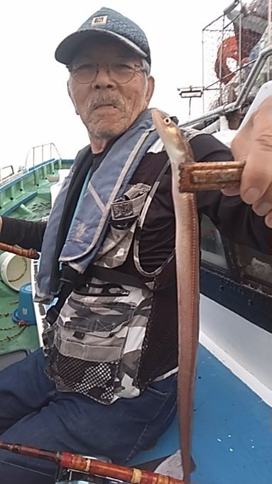 アナゴ(マアナゴ)