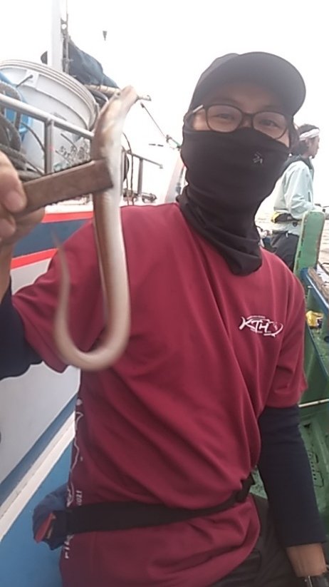 アナゴ(マアナゴ)