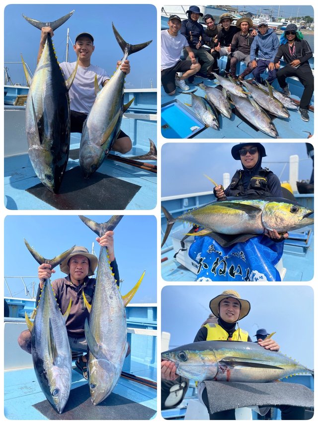 キハダマグロ(キハダ)