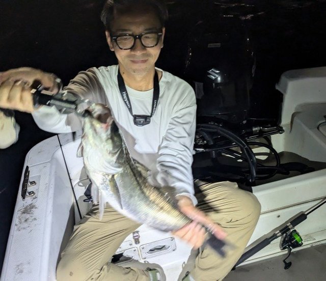 シーバス(スズキ)