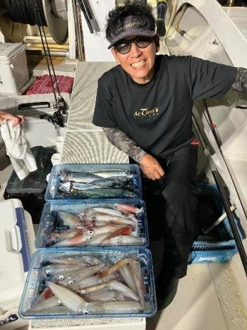 マイカ(ケンサキイカ)