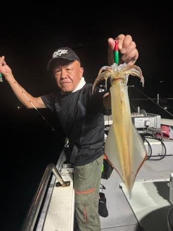 マイカ(ケンサキイカ)