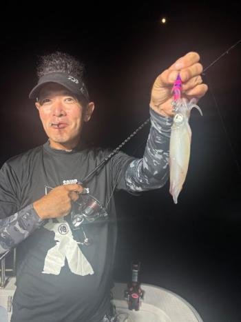 マイカ(ケンサキイカ)