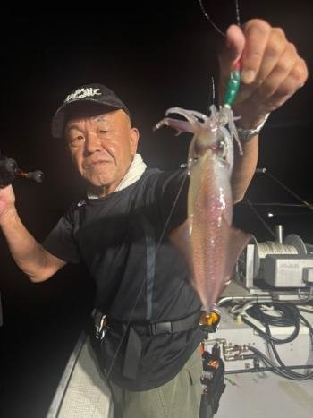 マイカ(ケンサキイカ)