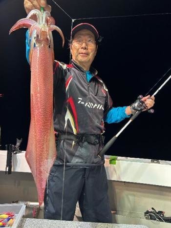 マイカ(ケンサキイカ)