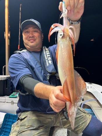 マイカ(ケンサキイカ)