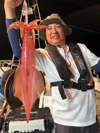 マイカ(ケンサキイカ)