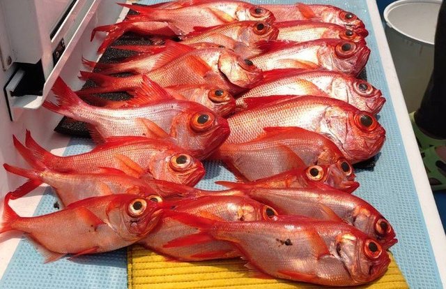 キンメ(キンメダイ)