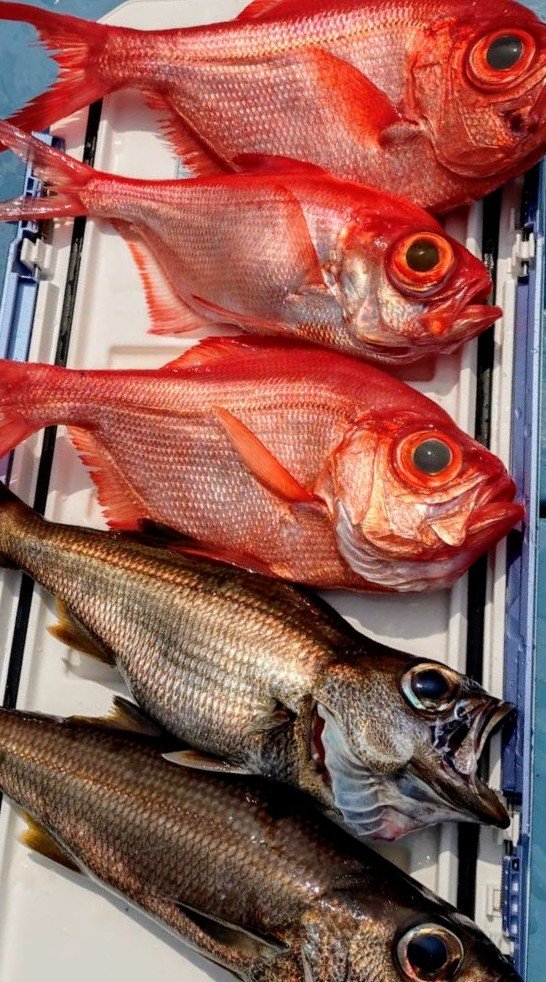 キンメ(キンメダイ)