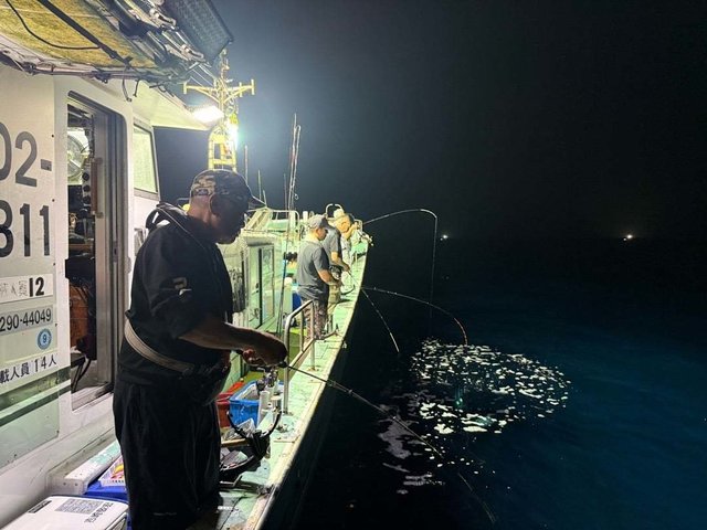 イカ(ケンサキイカ)