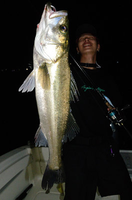 シーバス(スズキ)