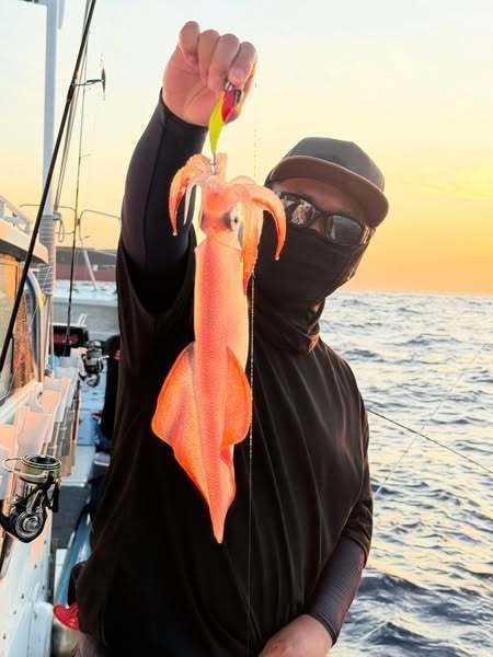 イカ(ケンサキイカ)