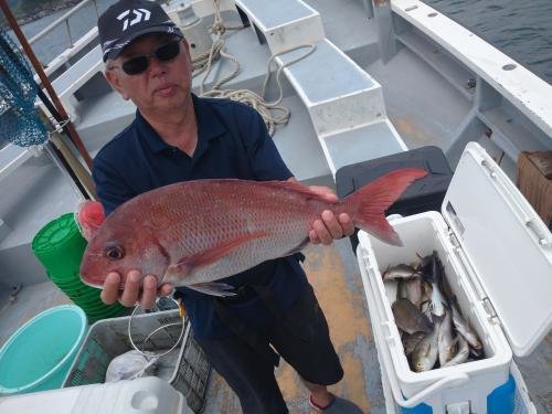 マダイ・イサキ