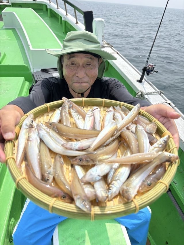 シロキス(シロギス)