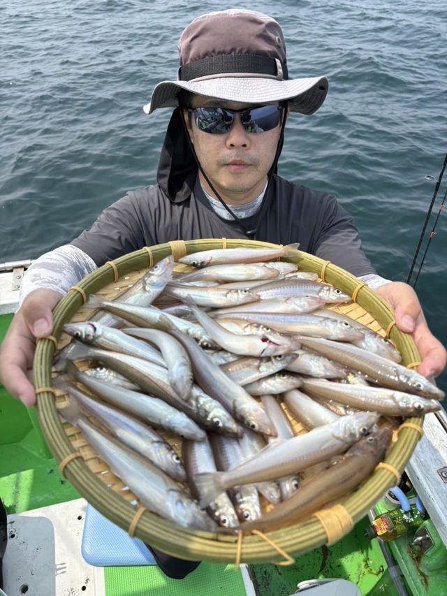 シロキス(シロギス)