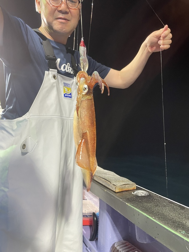 マルイカ(ケンサキイカ)