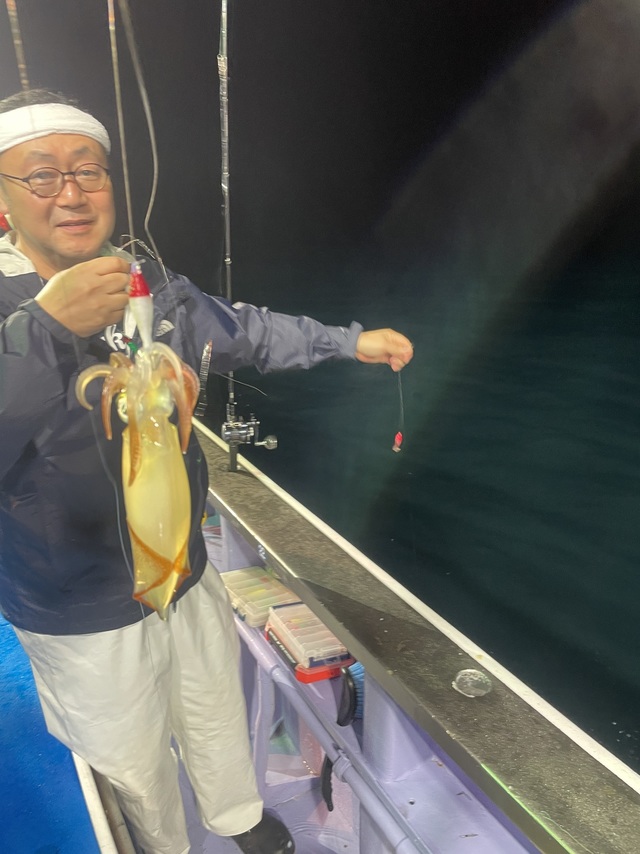 マルイカ(ケンサキイカ)