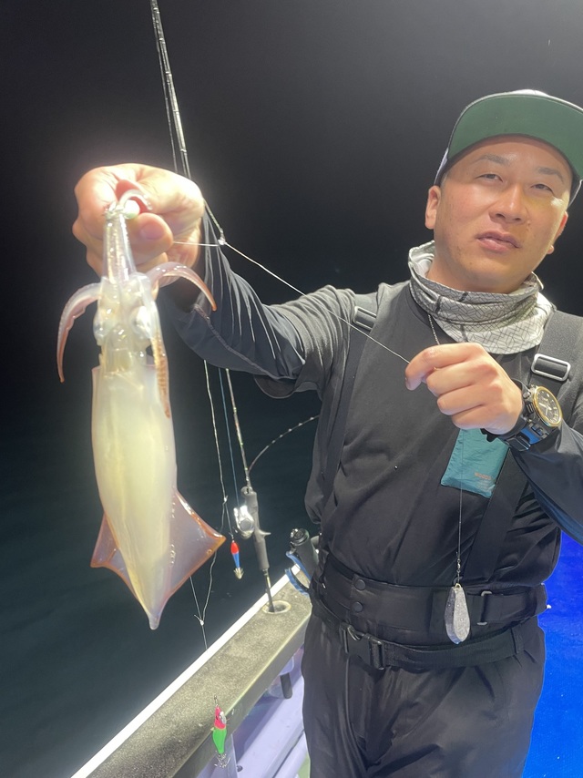 マルイカ(ケンサキイカ)