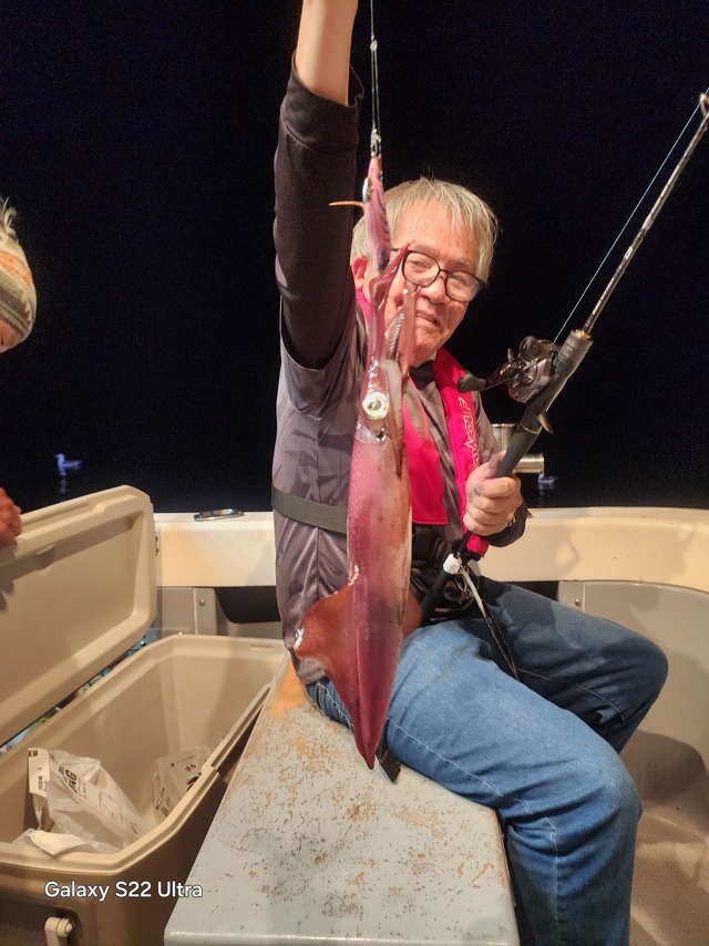 ケンサキ(ケンサキイカ)