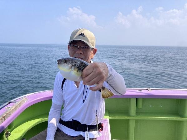 ショウサイフグ