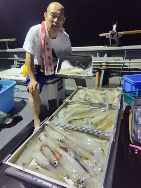 イカ(ヤリイカ)