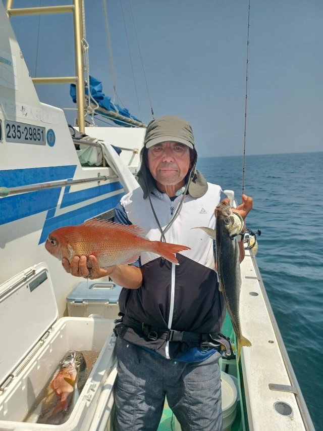 マダイ・アジ(マアジ)