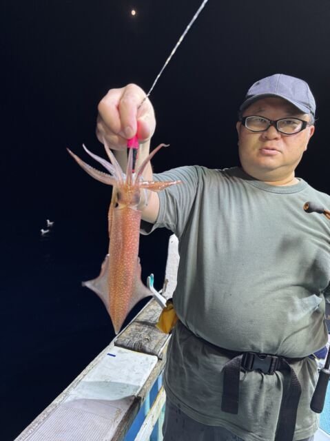 マイカ(ケンサキイカ)