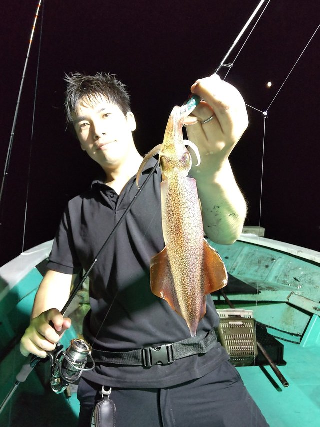 シロイカ(ケンサキイカ)