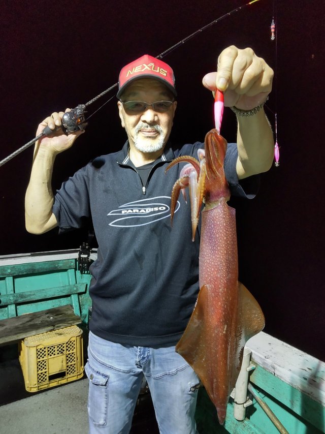 シロイカ(ケンサキイカ)