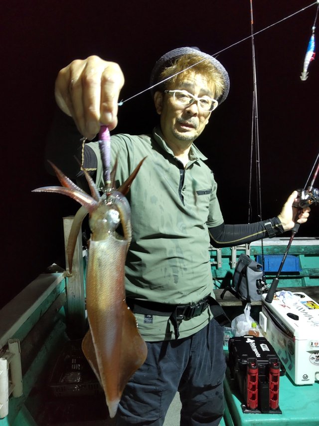 シロイカ(ケンサキイカ)