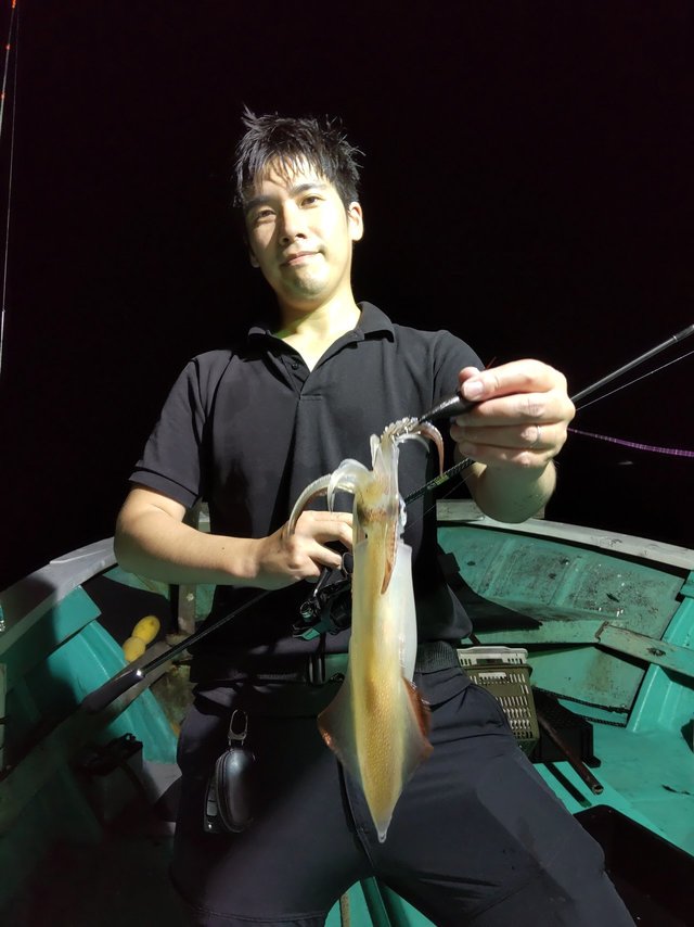 シロイカ(ケンサキイカ)