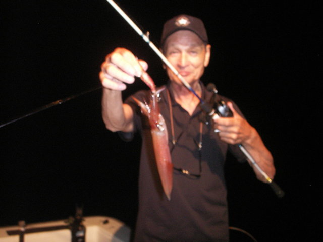 シロイカ(ケンサキイカ)