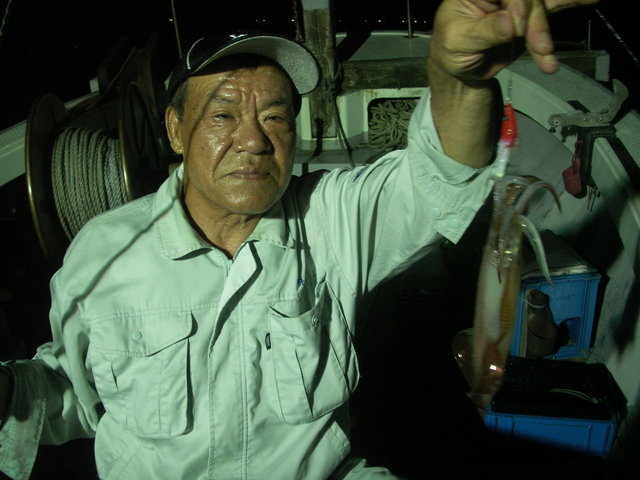 シロイカ(ケンサキイカ)