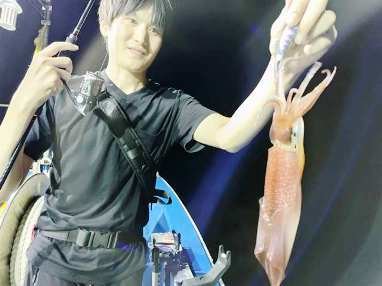 マイカ(ケンサキイカ)