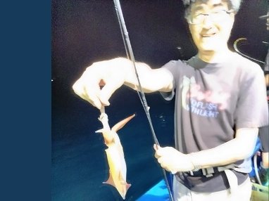 マイカ(ケンサキイカ)