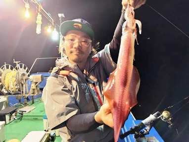 マイカ(ケンサキイカ)