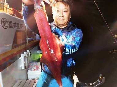 マイカ(ケンサキイカ)