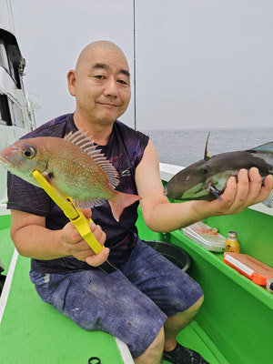 マダイ・ウマヅラ(ウマヅラハギ)