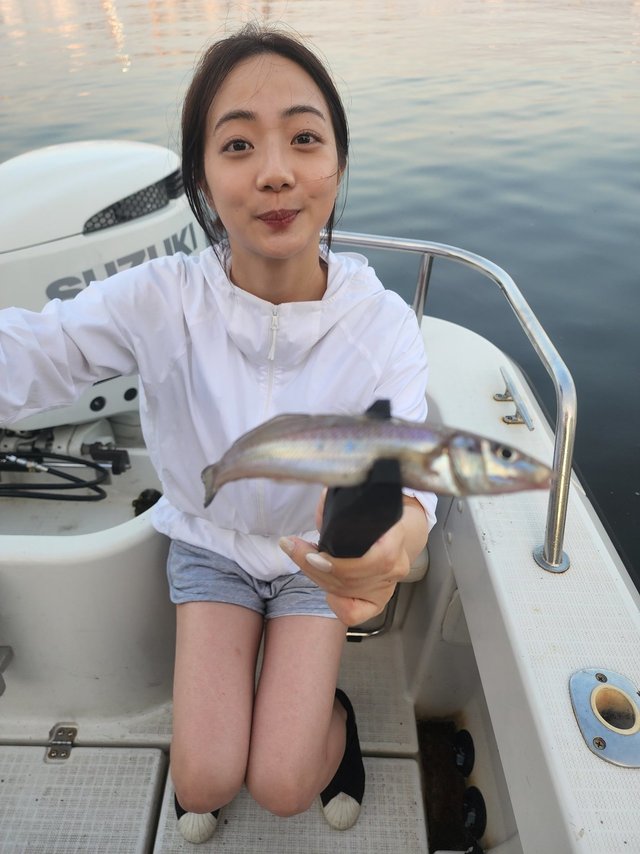 キス(シロギス)