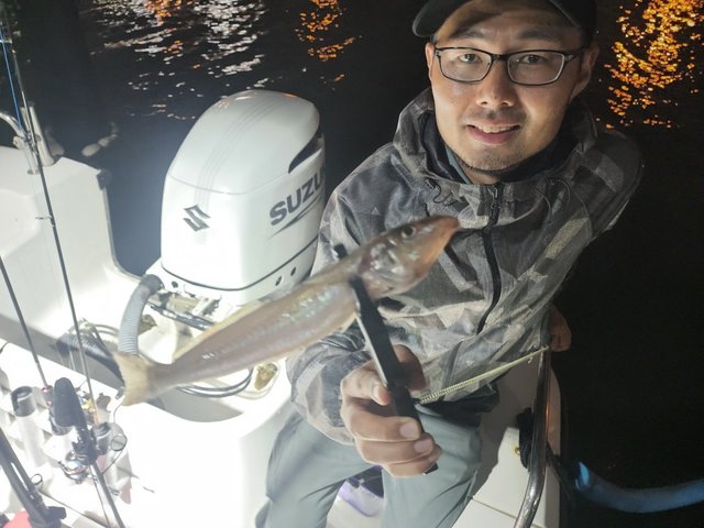 キス(シロギス)