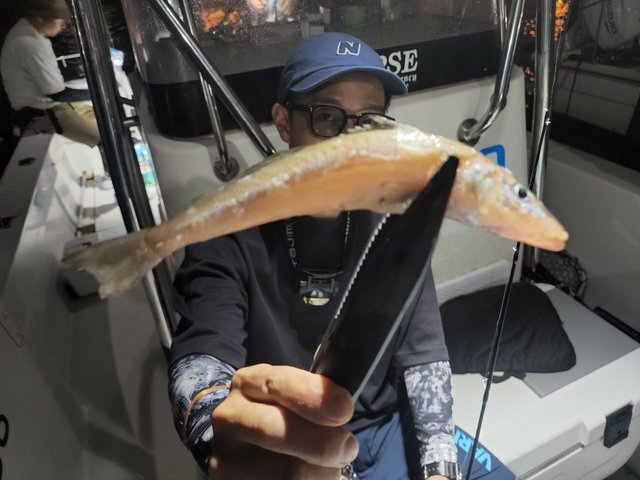 キス(シロギス)