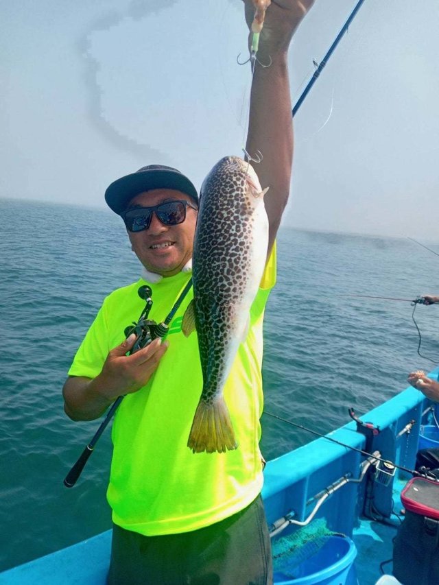 ショウサイフク(ショウサイフグ)