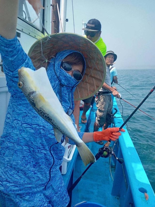 ショウサイフク(ショウサイフグ)