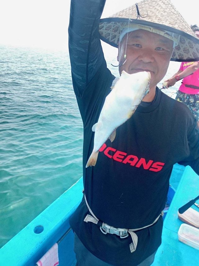 ショウサイフク(ショウサイフグ)