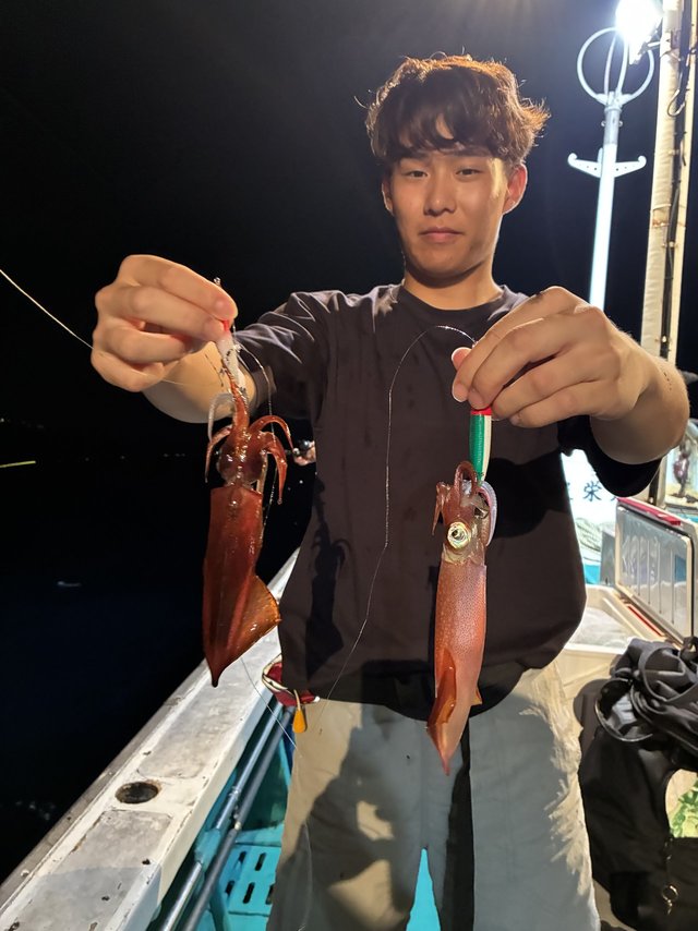 アカイカ(ケンサキイカ)