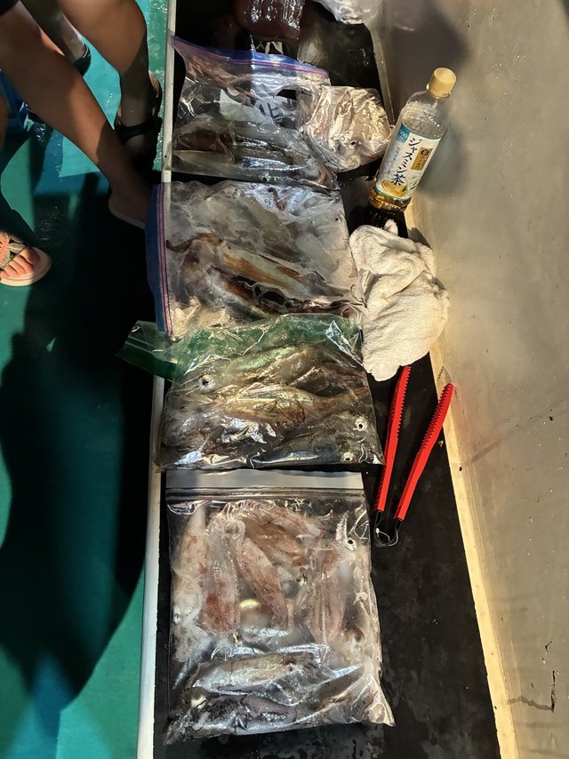 アカイカ(ケンサキイカ)