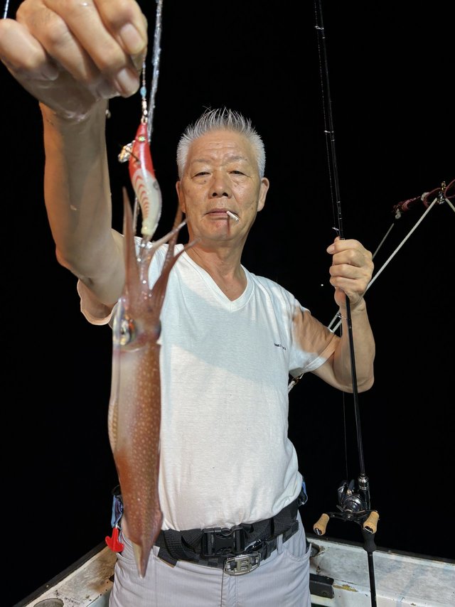 アカイカ(ケンサキイカ)