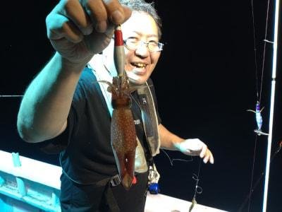 マイカ(ケンサキイカ)