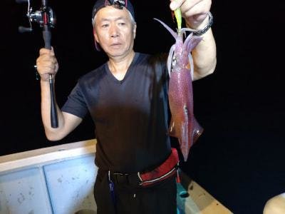 マイカ(ケンサキイカ)