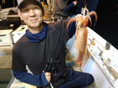 マイカ(ケンサキイカ)